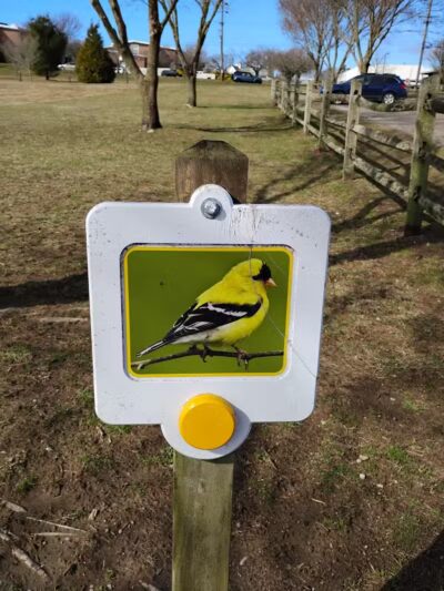 Middletown Valley - Middletown, RI