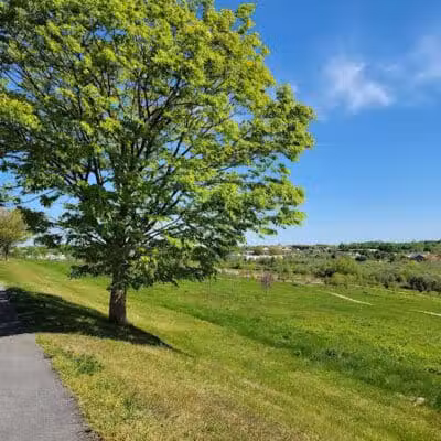 Middletown Valley - Middletown, RI
