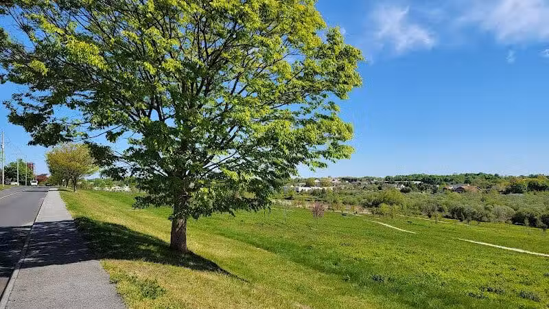 Middletown Valley - Middletown, RI