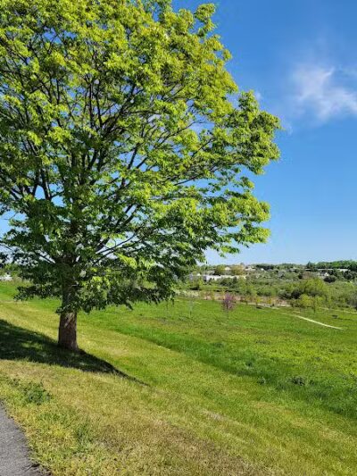 Middletown Valley - Middletown, RI