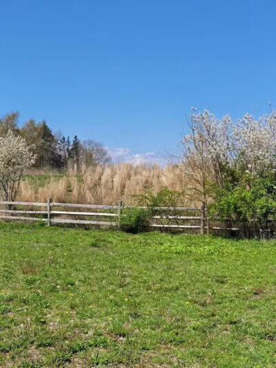 Middletown Valley - Middletown, RI