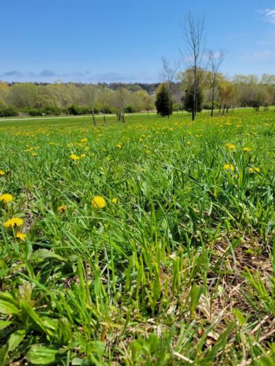 Middletown Valley Park - Middletown, RI