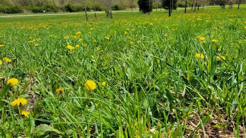 Middletown Valley Park - Middletown, RI