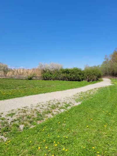 Middletown Valley - Middletown, RI