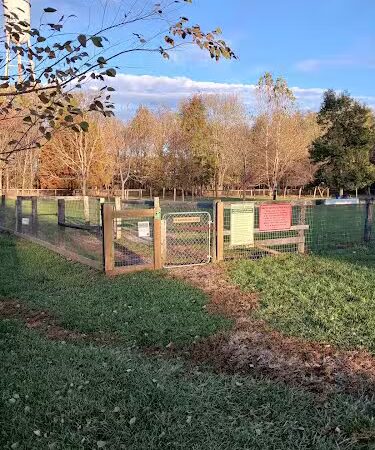 Walter Bradley Dog Park - Midway, KY