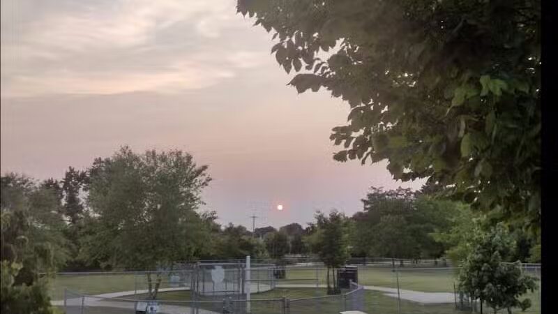 Milford Dog Park - Milford, DE