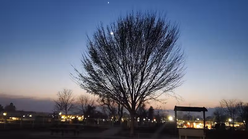 Milford Dog Park - Milford, DE