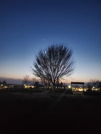 Milford Dog Park - Milford, DE