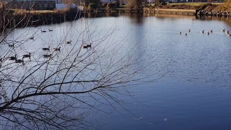 Milford Dog Park - Milford, DE