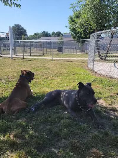 Milford Dog Park - Milford, DE