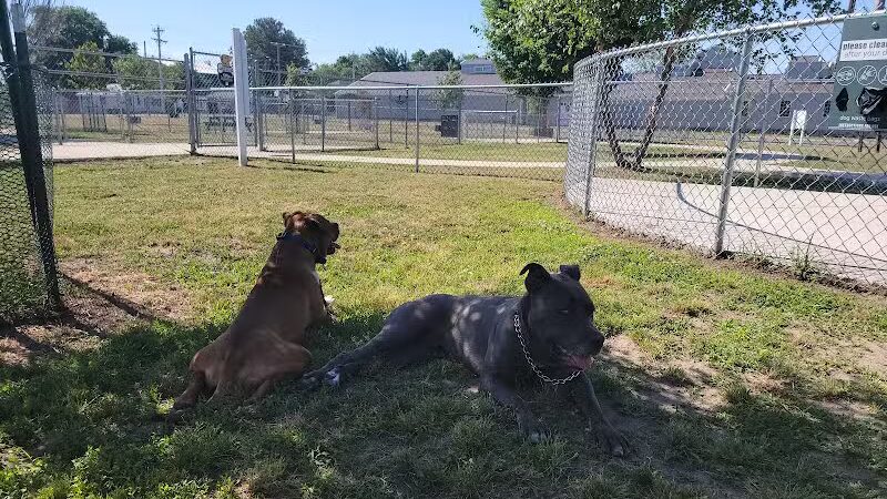 Milford Dog Park - Milford, DE