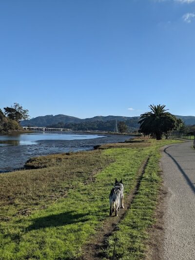 Dog Park | Bayfront Park Mill Valley - Mill Valley, CA