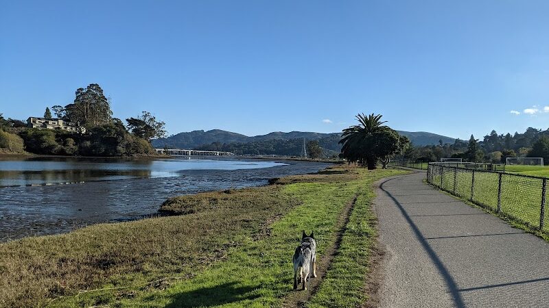 Dog Park | Bayfront Park Mill Valley - Mill Valley, CA