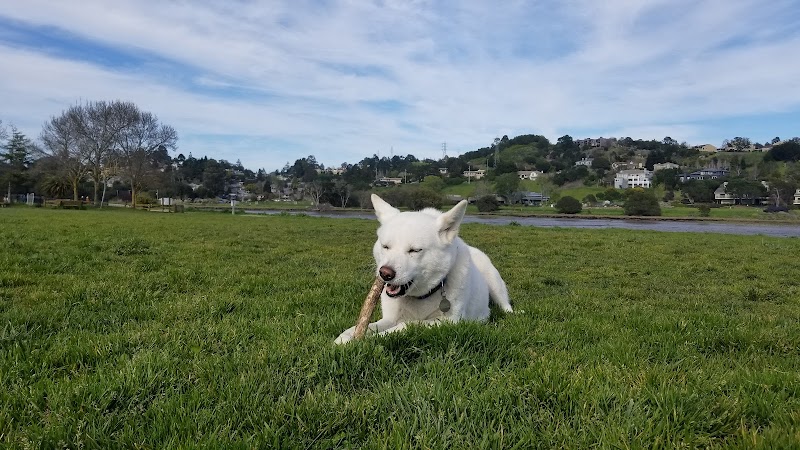 Dog Park | Bayfront Park Mill Valley - Mill Valley, CA