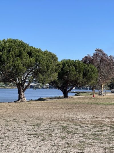 Dog Park | Bayfront Park Mill Valley - Mill Valley, CA