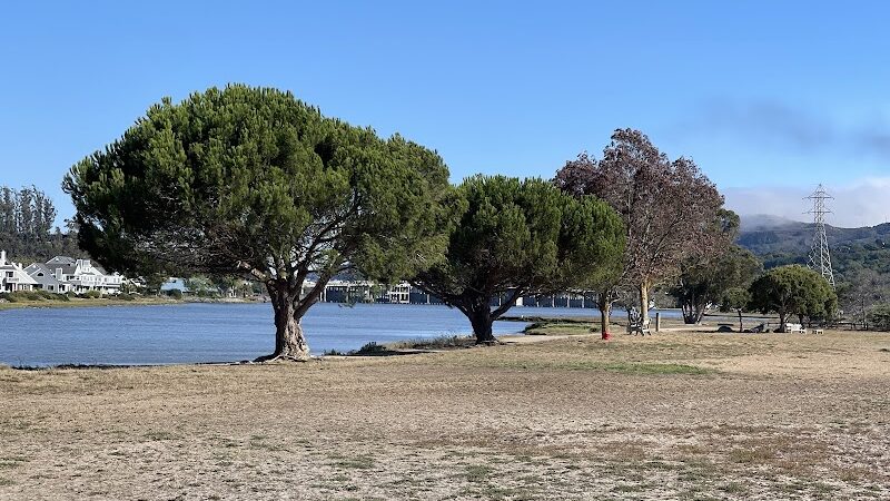 Dog Park | Bayfront Park Mill Valley - Mill Valley, CA