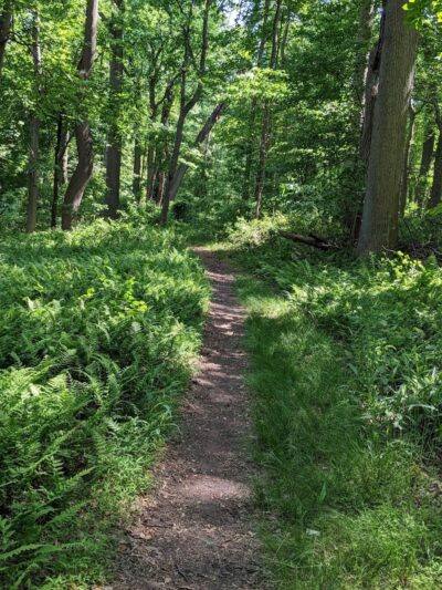 Perrineville Lake Park - Millstone, NJ
