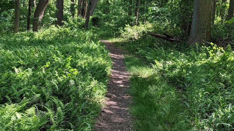 Perrineville Lake Park - Millstone, NJ