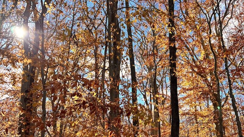 Perrineville Lake Park - Millstone, NJ