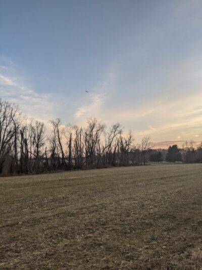 Perrineville Lake Park - Millstone, NJ