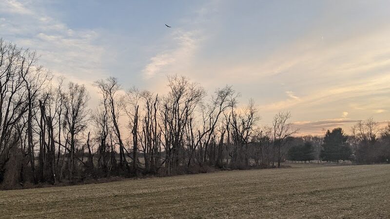 Perrineville Lake Park - Millstone, NJ