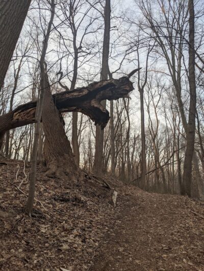 Perrineville Lake Park - Millstone, NJ