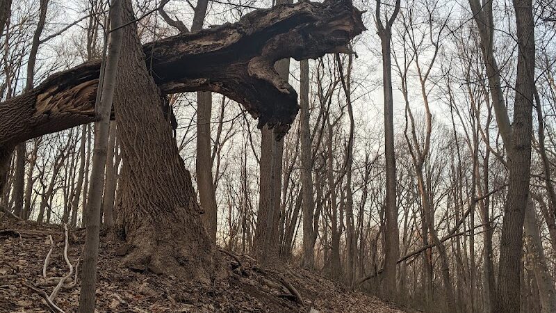 Perrineville Lake Park - Millstone, NJ