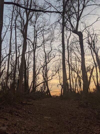 Perrineville Lake Park - Millstone, NJ