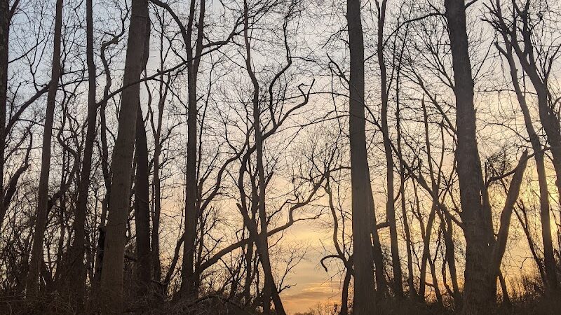 Perrineville Lake Park - Millstone, NJ