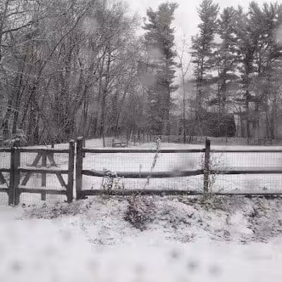 Milton Landing Dog Park - Milton, NY