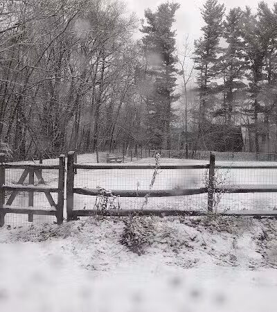Milton Landing Dog Park - Milton, NY