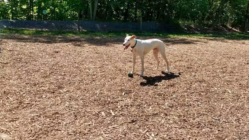 Milton Landing Dog Park - Milton, NY