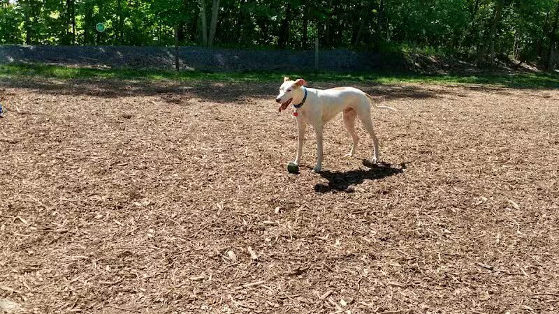 Milton Landing Dog Park - Milton, NY