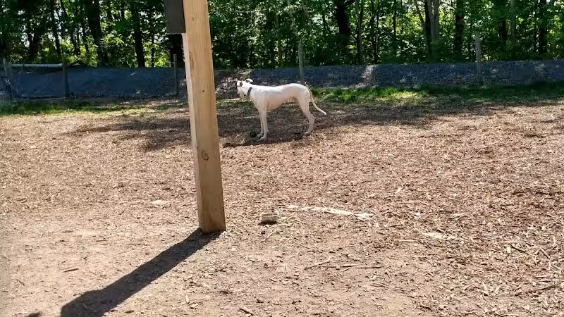 Milton Landing Dog Park - Milton, NY