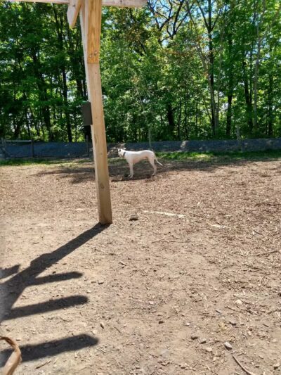 Milton Landing Dog Park - Milton, NY