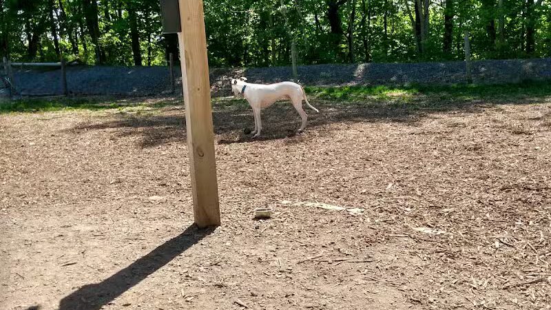 Milton Landing Dog Park - Milton, NY