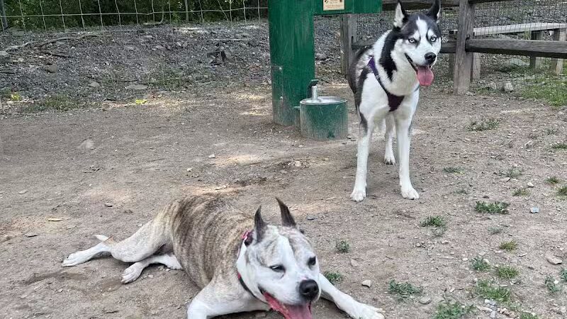 Milton Landing Dog Park - Milton, NY