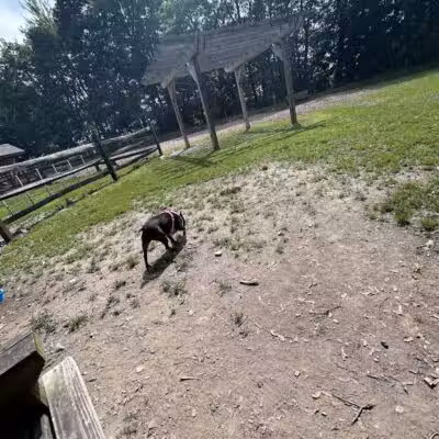 Milton Landing Dog Park - Milton, NY