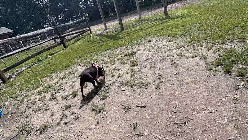 Milton Landing Dog Park - Milton, NY