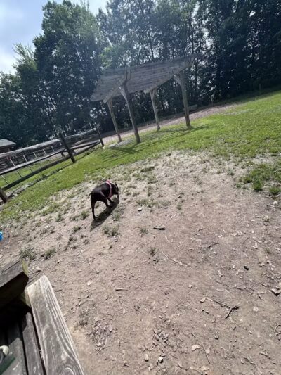 Milton Landing Dog Park - Milton, NY