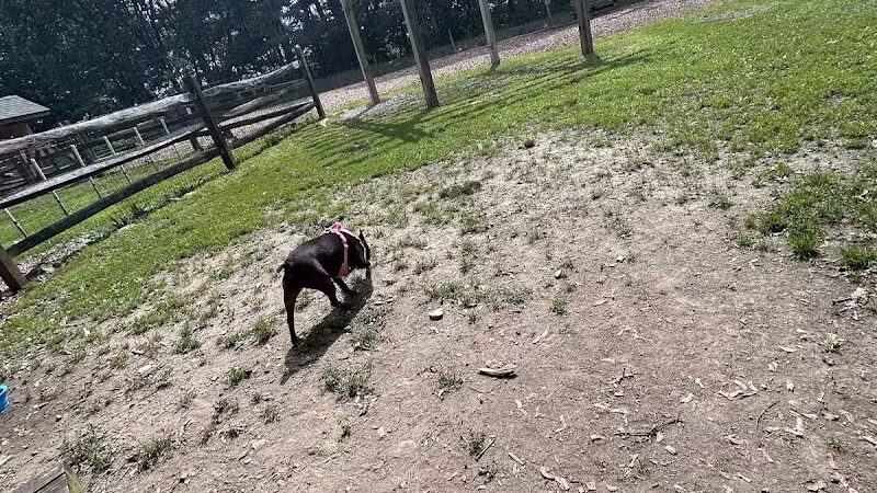 Milton Landing Dog Park - Milton, NY