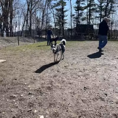 Milton Landing Dog Park - Milton, NY