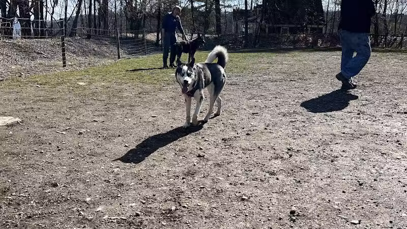 Milton Landing Dog Park - Milton, NY