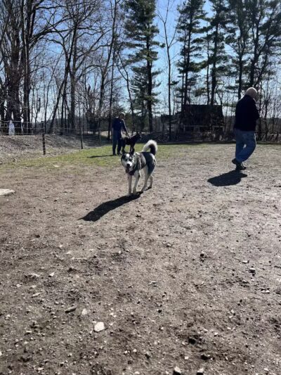 Milton Landing Dog Park - Milton, NY