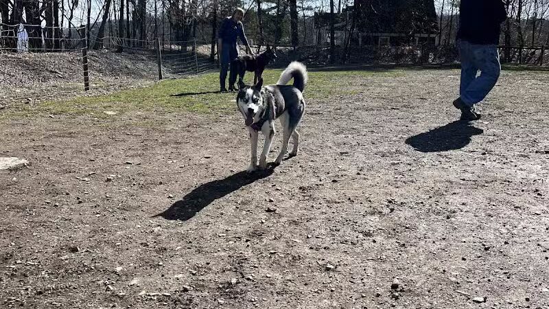 Milton Landing Dog Park - Milton, NY