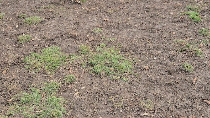 Bay View Dog Park - Milwaukee, WI