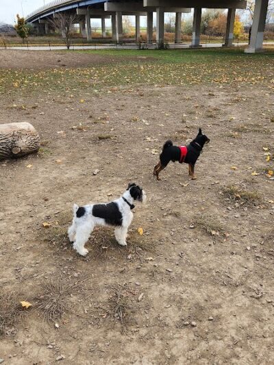 Bay View Dog Park - Milwaukee, WI