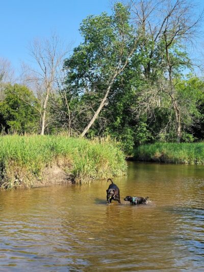 Granville Dog Park - Milwaukee, WI
