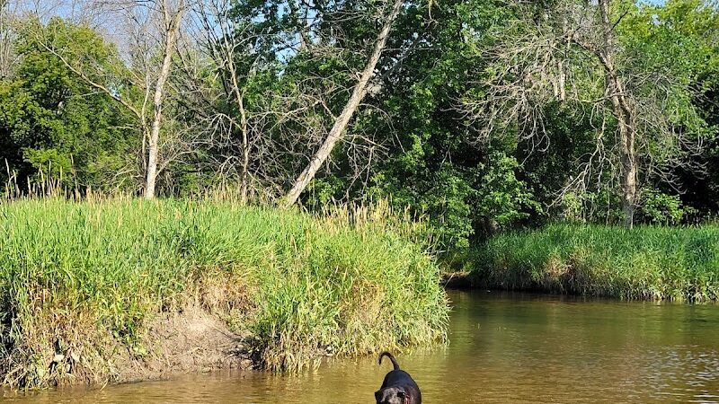 Granville Dog Park - Milwaukee, WI