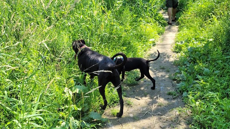 Granville Dog Park - Milwaukee, WI